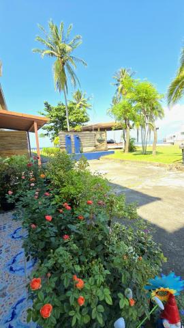 Lanta MP Place - Adult Only — photo 13