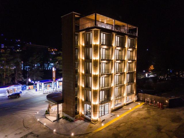 Steel Tower Borjomi — photo 21
