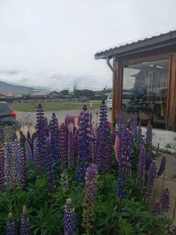 Hostal Doble E Patagonia — photo 20
