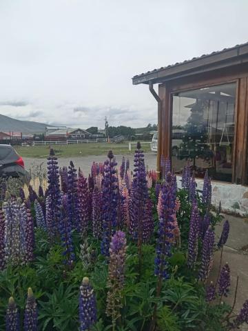 Hostal Doble E Patagonia — photo 19