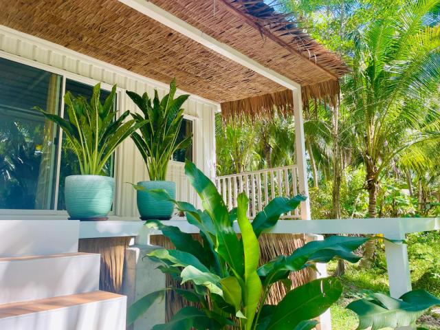 Secret Palm — photo 10