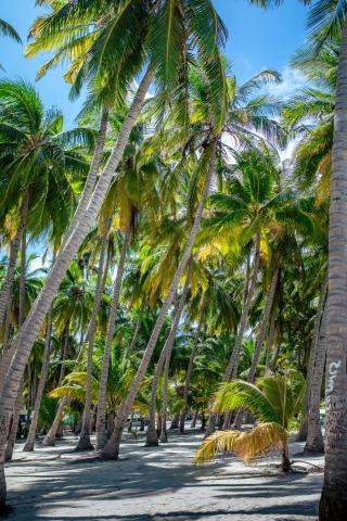 Buceo Inn Mathiveri — photo 21