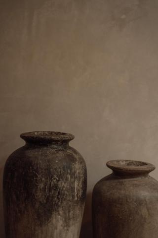 Eos Wellness by Amazonia — photo 8