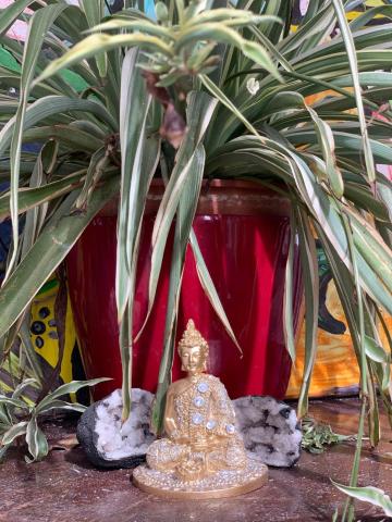 Acoran Family Ocean View Guest House With Daily Yoga Practice Included North Gran Canaria PRIVATE ROOM PET FRIENDLY — photo 22