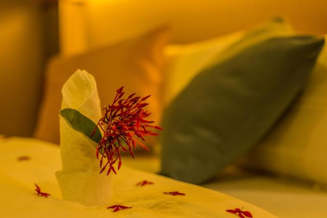 Kuredhi Beach Inn — photo 20