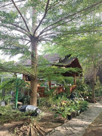 Villa Raflesh Inn By Four G — photo 23