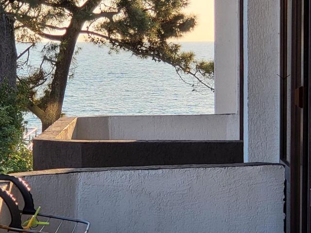 Hotel SABA — photo 13