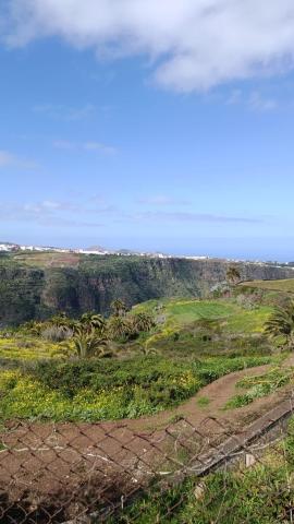 Acoran Family Ocean View Guest House With Daily Yoga Practice Included North Gran Canaria PRIVATE ROOM PET FRIENDLY — photo 19