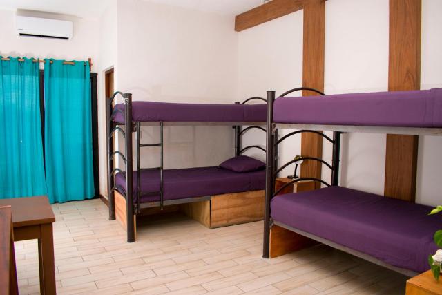 Balu Hotel — photo 23