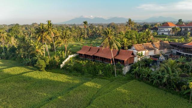Artropeace Ubud Retreat & Villas — photo 1