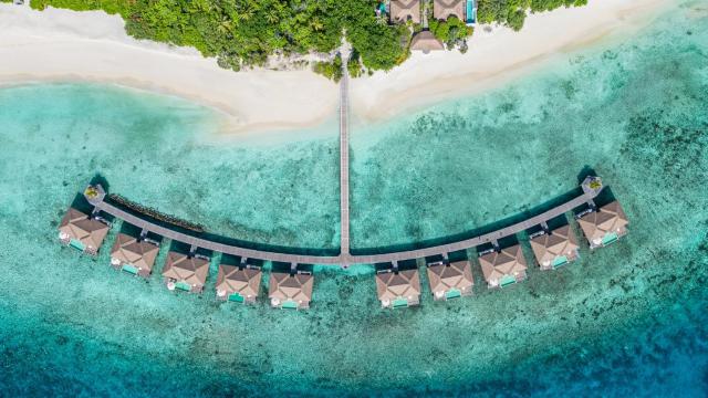 Noku Maldives — photo 24