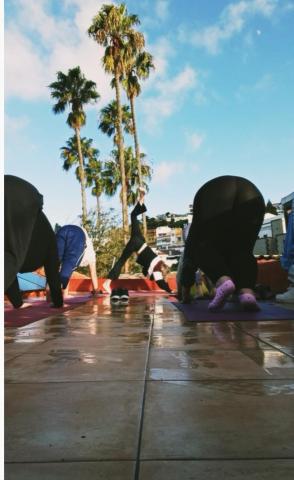 Acoran Family Ocean View Guest House With Daily Yoga Practice Included North Gran Canaria PRIVATE ROOM PET FRIENDLY — photo 24