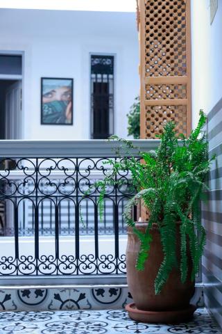 Riad Allal — photo 18