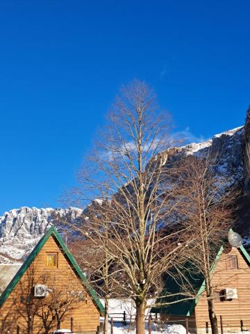 Eco resort Komarnica — photo 8