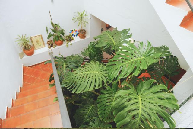 La Palma Hostel by Pension Central — photo 12