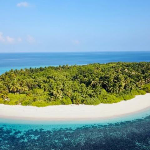 Bougain Villa Gemanafushi — photo 24