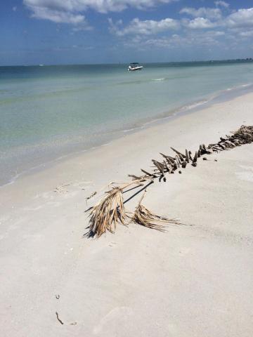 Birdsong Gulf Front Beach Suites — photo 21