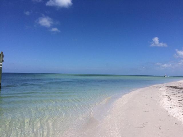 Birdsong Gulf Front Beach Suites — photo 16