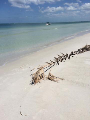 Birdsong Gulf Front Beach Suites — photo 14