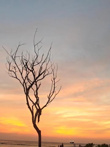 Karanka Villa @ Mahibadhoo — photo 9