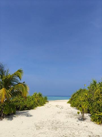 Karanka Villa @ Mahibadhoo — photo 12