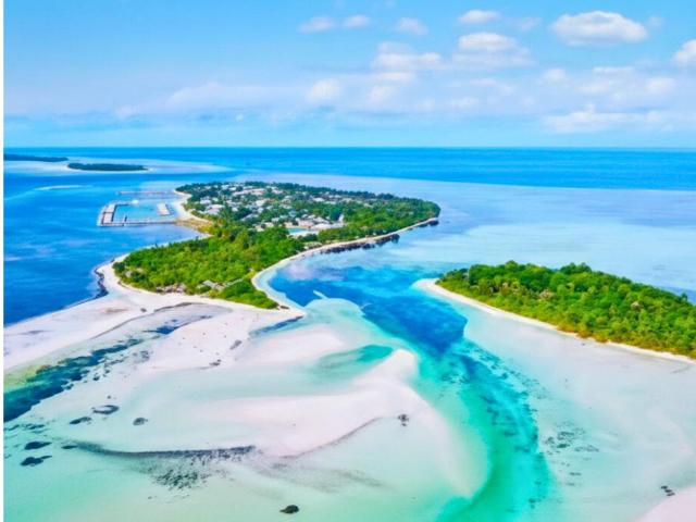 Bougain Villa Gemanafushi — photo 22