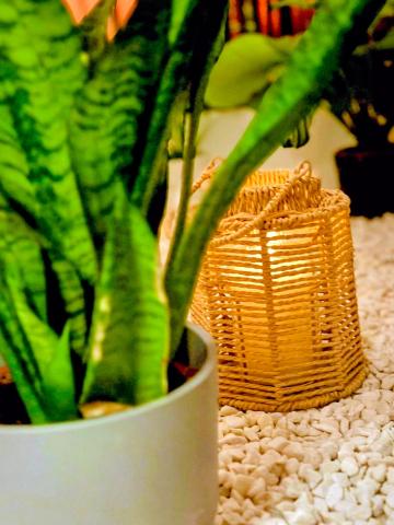 Sumsi28 Boutique Apartments — photo 16