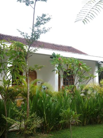 Palmhouse Boutique Hotel — photo 11