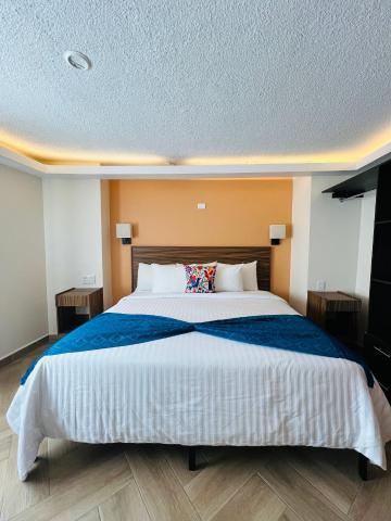 Suites del Jardín Principal — photo 12