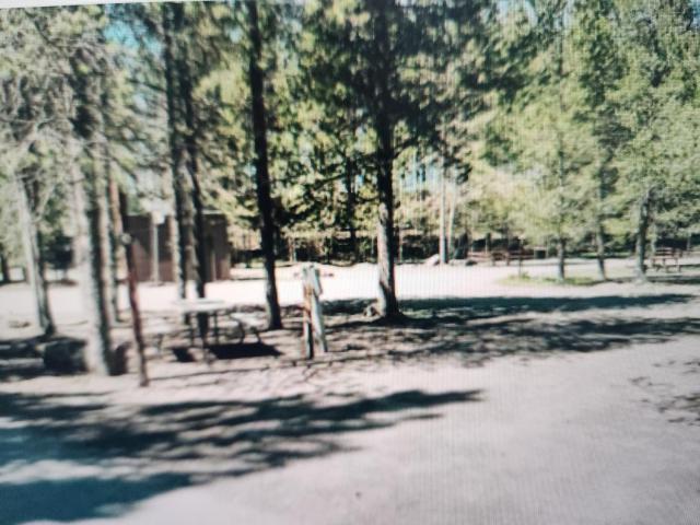 Sawtelle Mountain Resort — photo 8