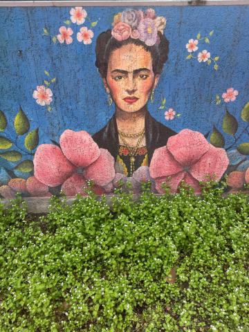 Hotel Frida — photo 10