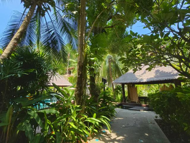 HULA HULA RESORT l truly tropical and fun wellness — photo 8