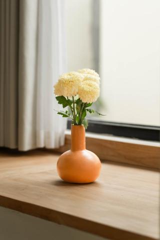 Soma House - Adults Only — photo 11