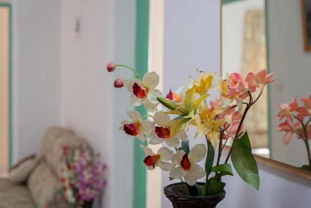 Hotel Germán — photo 9