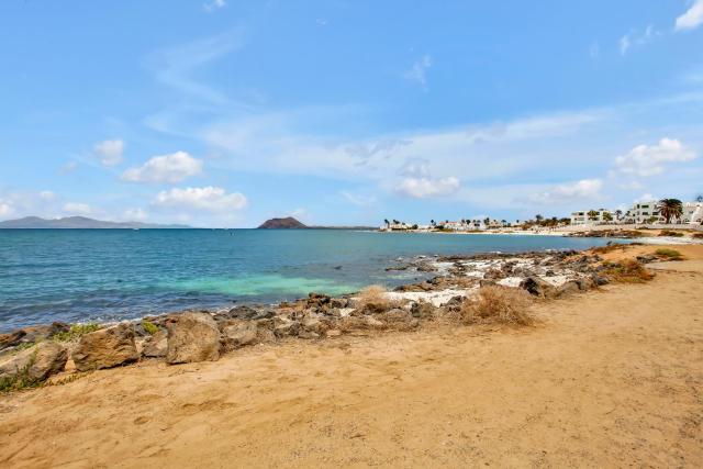 Charro Room — photo 15