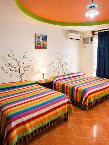 Hotel Doña Alicia — photo 7