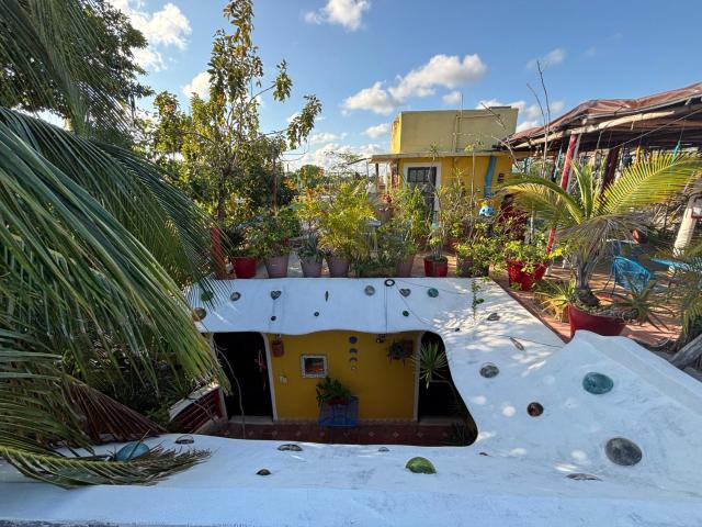 Maison Tulum — photo 16