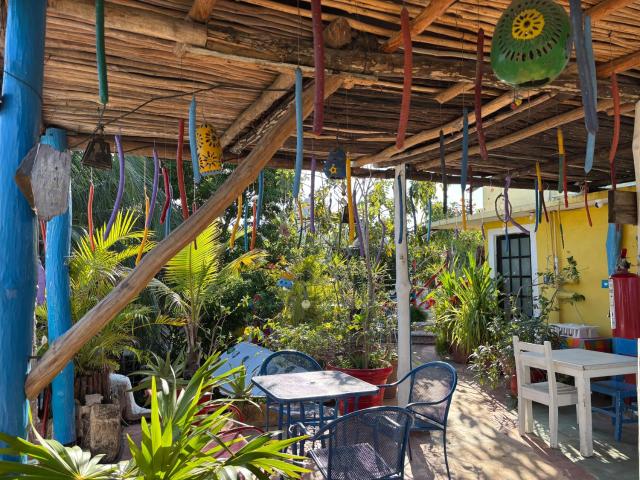 Maison Tulum — photo 13