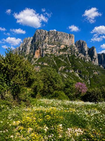 Vikos View — photo 18