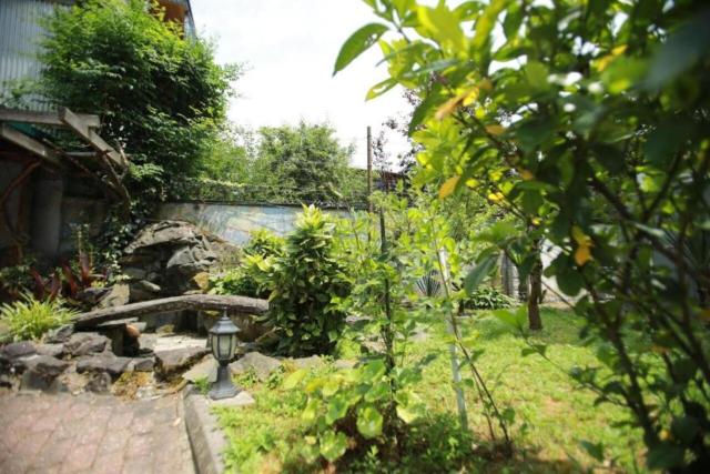 Green House Hotel N2 — photo 16
