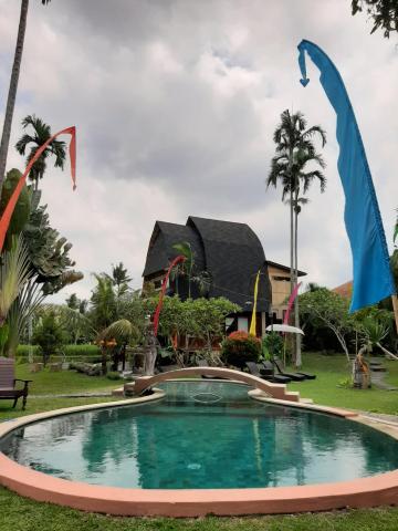 Ubud Hidden Villa Yone village — photo 13