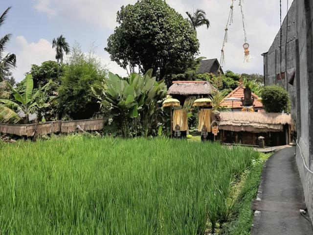 Ubud Hidden Villa Yone village — photo 8