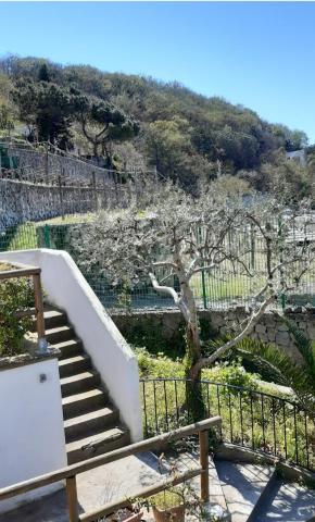 Villa Olivia Residence Ischia - nel Verde con Piscine e Vista Mare — photo 10