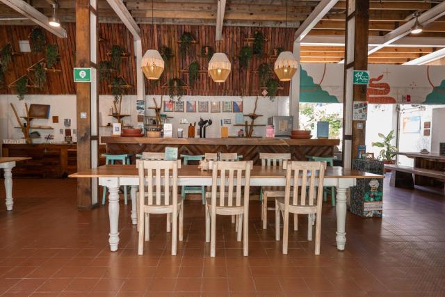 Nílu Isla Mujeres by Selina — photo 16