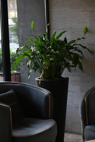 Iveria Inn Hotel — photo 14