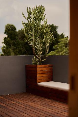 Casa Carmen Xólotl — photo 18