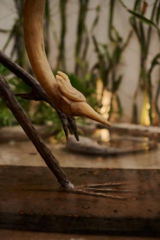 Casa Carmen Xólotl — photo 14