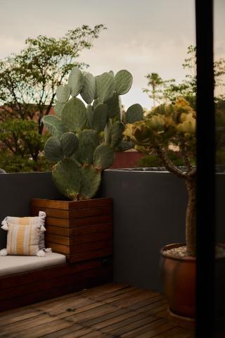 Casa Carmen Xólotl — photo 16
