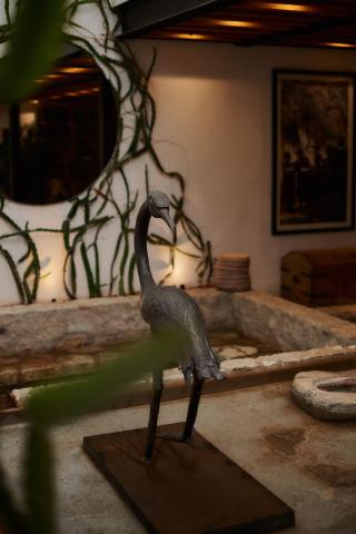 Casa Carmen Xólotl — photo 13
