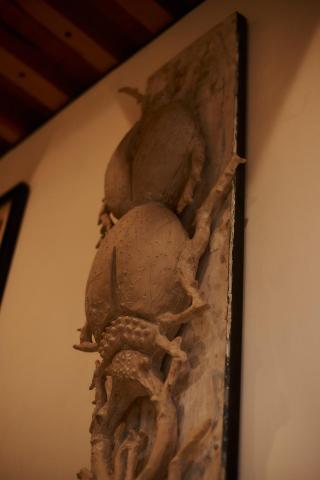 Casa Carmen Xólotl — photo 7